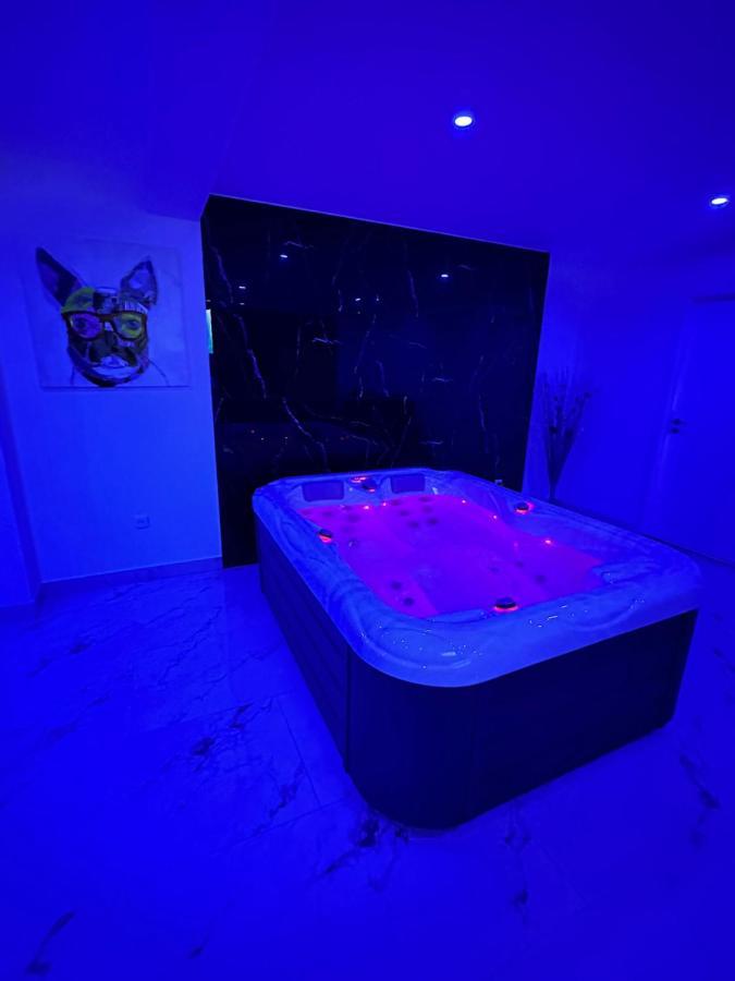 Appartement Cosy Jacuzzi Spa 70M2 Châtenois Extérieur photo